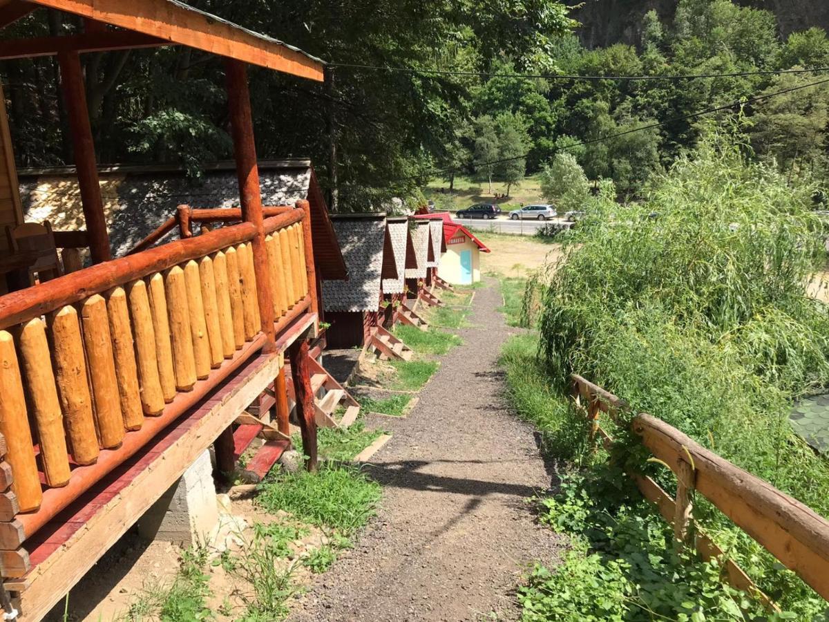 Cabanute Si Camping Dracula Capatineni-Paminteni Esterno foto