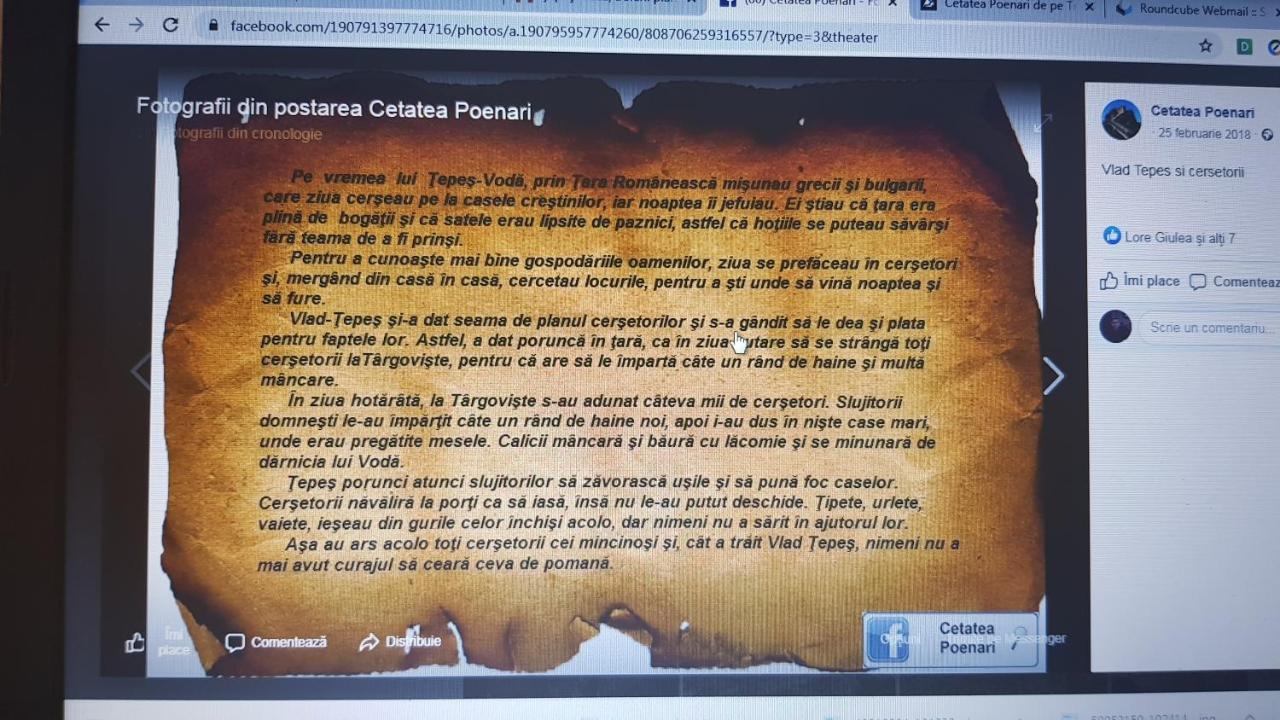 Cabanute Si Camping Dracula Capatineni-Paminteni Esterno foto