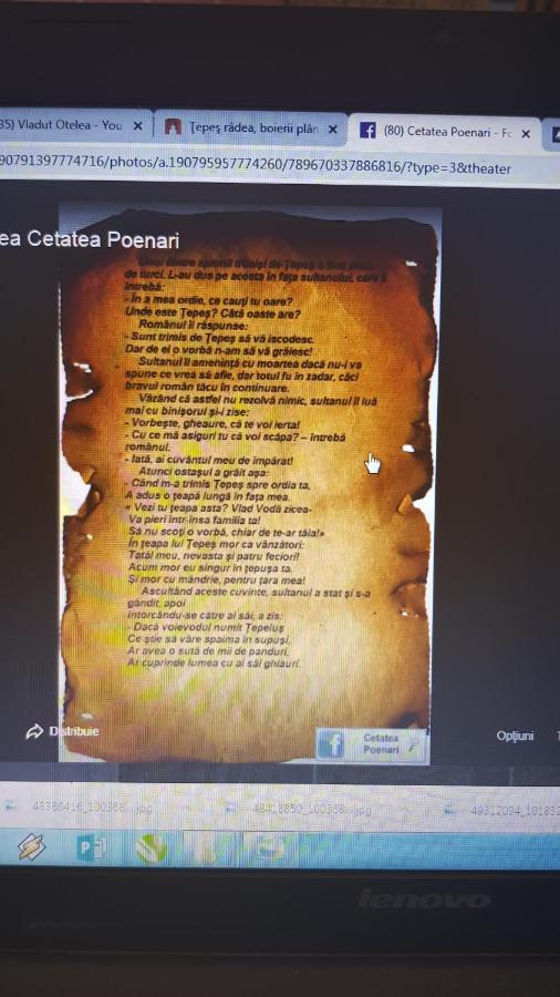 Cabanute Si Camping Dracula Capatineni-Paminteni Esterno foto