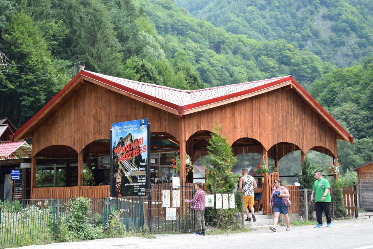 Cabanute Si Camping Dracula Capatineni-Paminteni Esterno foto