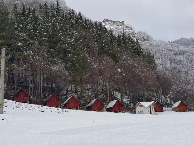 Cabanute Si Camping Dracula Capatineni-Paminteni Esterno foto