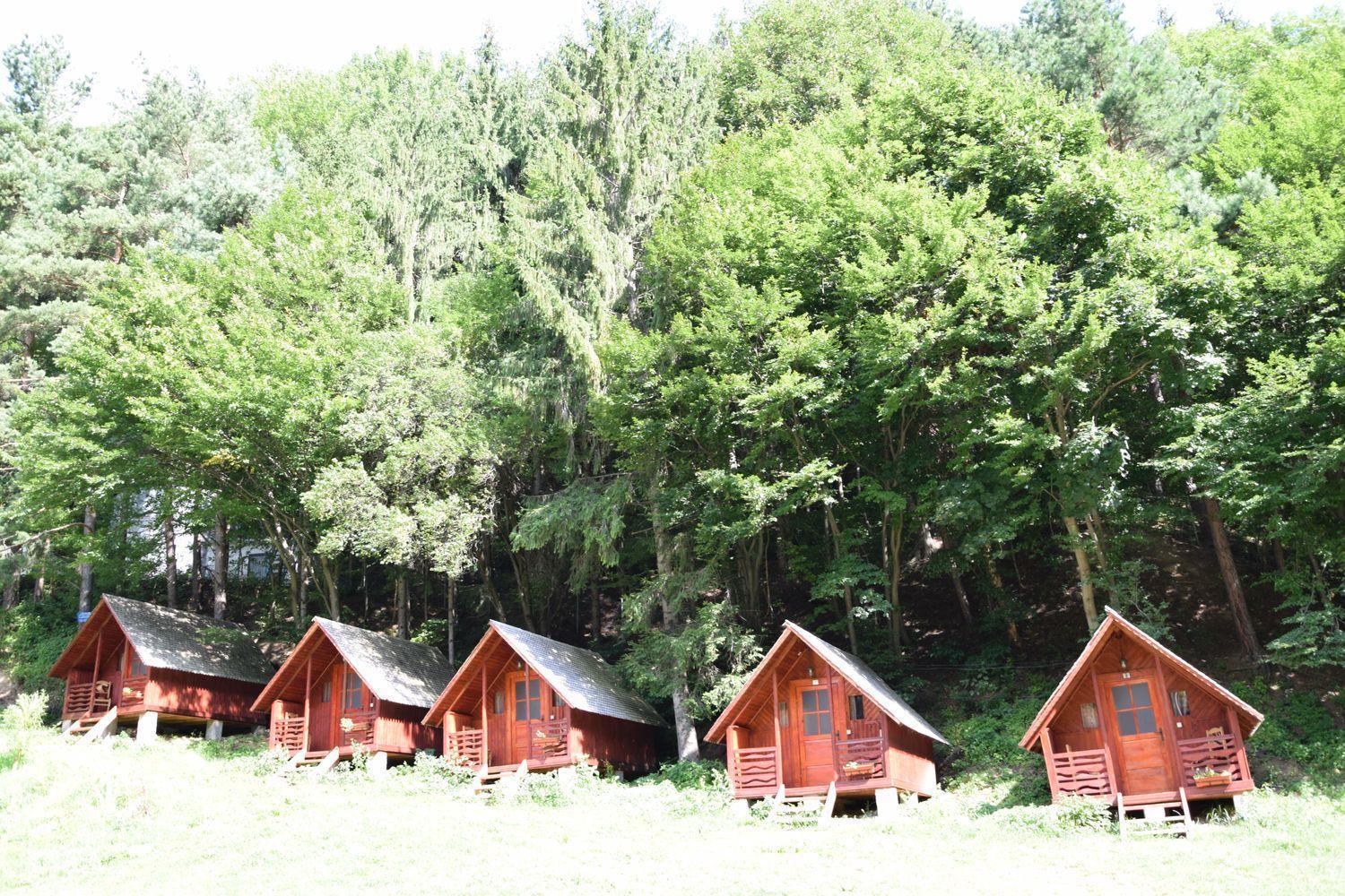 Cabanute Si Camping Dracula Capatineni-Paminteni Esterno foto