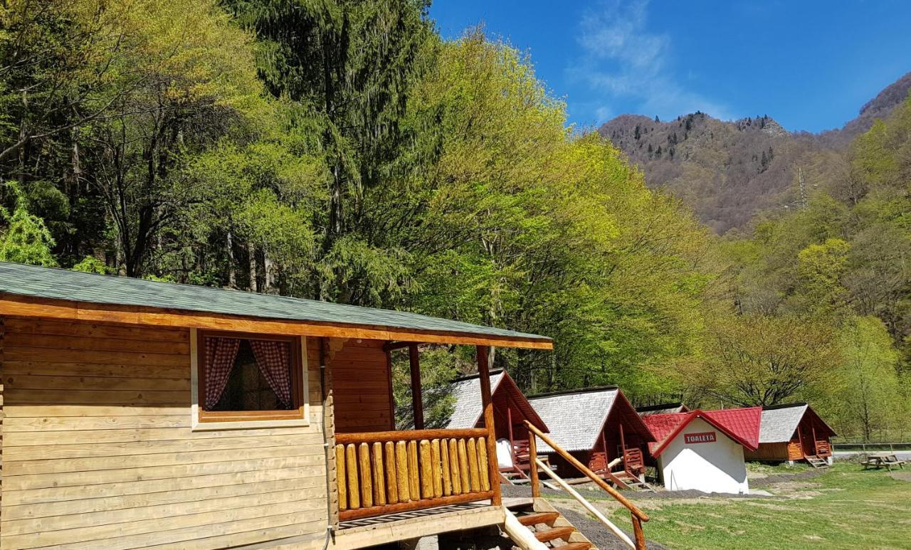 Cabanute Si Camping Dracula Capatineni-Paminteni Esterno foto